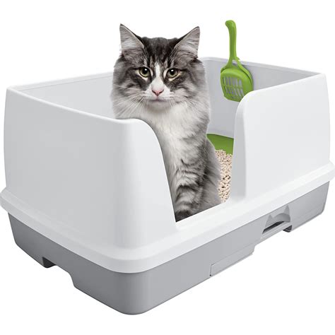 litter box with removable tray